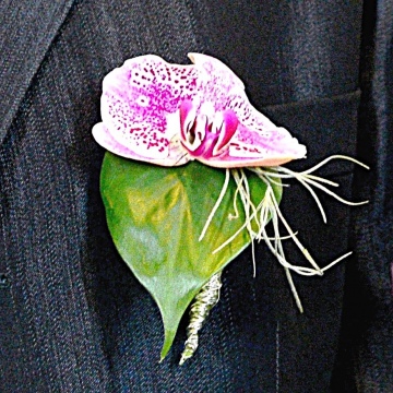 Bräutigam Anstecker mit Orchidee